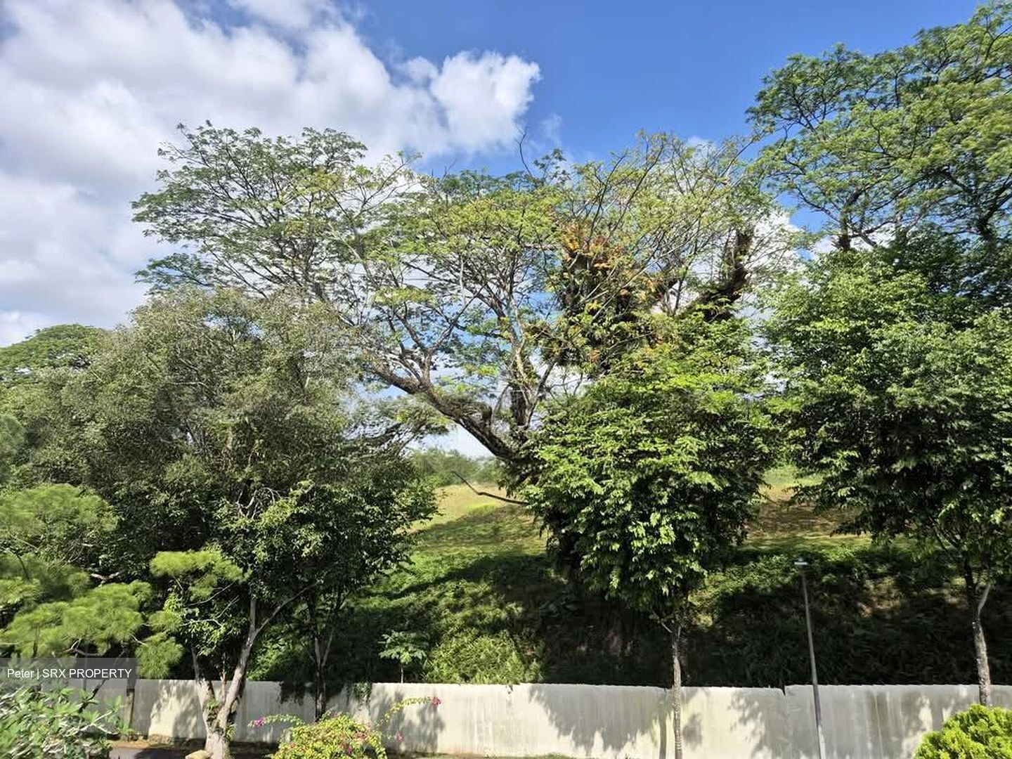 Capitol Park (D11), Detached #538005031